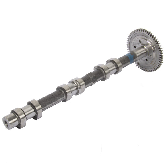 50007695 Engine Camshaft Kolbenschmidt Canada