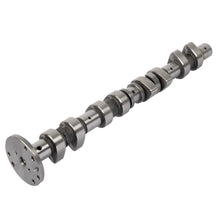 Charger l'image dans la galerie, 50007698 Engine Camshaft Kolbenschmidt Canada