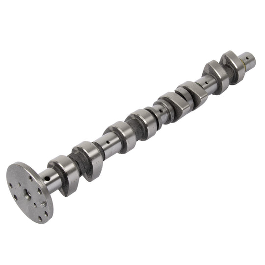 50007698 Engine Camshaft Kolbenschmidt Canada
