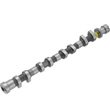 Load image into Gallery viewer, 50007704 Engine Camshaft Kolbenschmidt Canada
