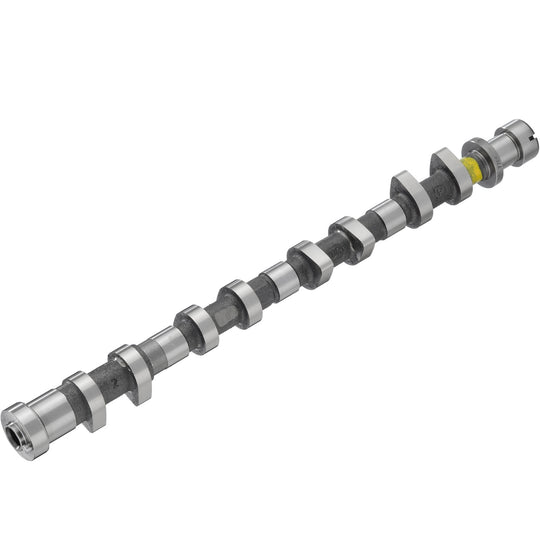 50007704 Engine Camshaft Kolbenschmidt Canada