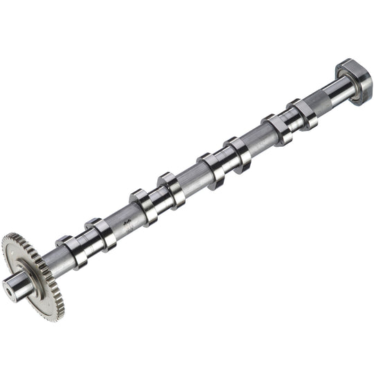 50007712 Engine Camshaft Kolbenschmidt Canada