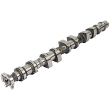 Charger l'image dans la galerie, 50007927 Engine Camshaft Kolbenschmidt Canada