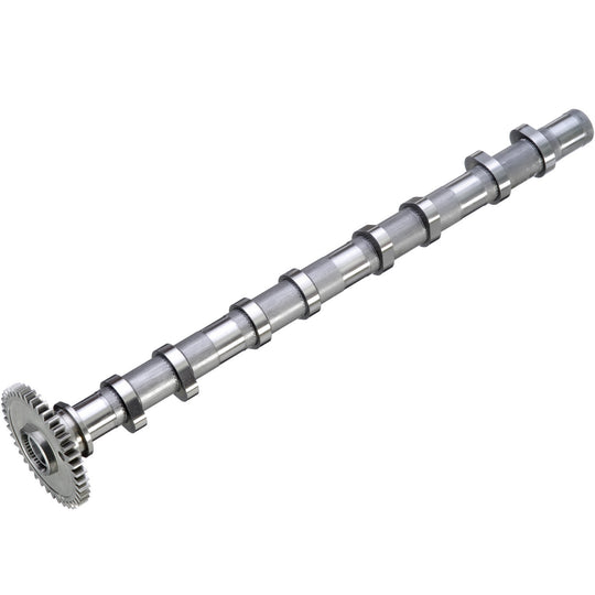 50007933 Engine Camshaft Kolbenschmidt Canada