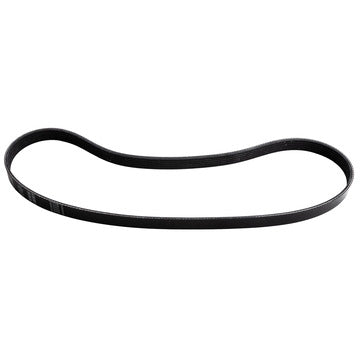 5060453 Serpentine Belt Dayco Canada