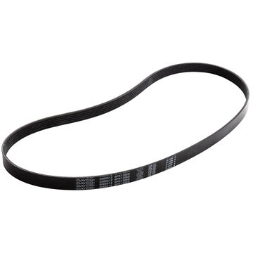 5060512 Serpentine Belt Dayco Canada