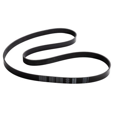 5070671 Serpentine Belt Dayco Canada