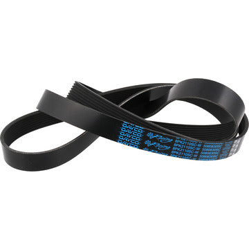 5080830SC Serpentine Belt Dayco Canada