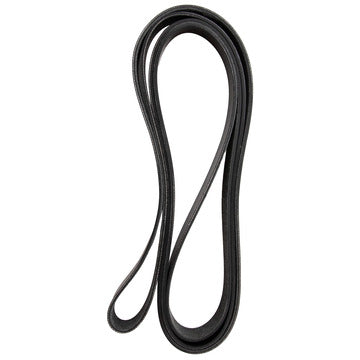 5081265 Serpentine Belt Dayco Canada