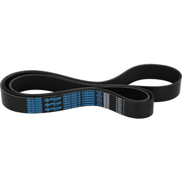 5100840SC Serpentine Belt Dayco Canada