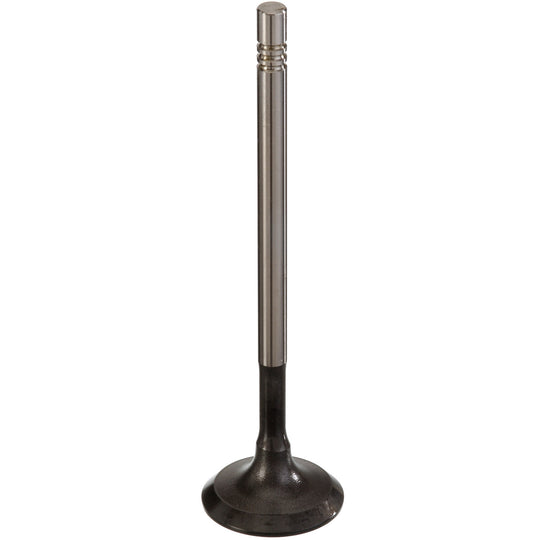 539048 Engine Intake Valve TRW Engine Components Canada