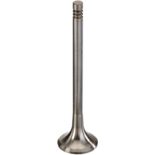 Load image into Gallery viewer, 539051 Engine Exhaust Valve TRW Engine Components Canada
