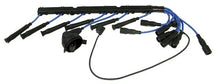 Load image into Gallery viewer, RC-EUC009 NGK Spark Plug Wire Set NGK Canada