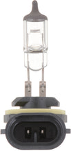 Load image into Gallery viewer, 896B1 Philips Standard Fog Light 896 - Standard - Single Blister Pack Philips Bulbs