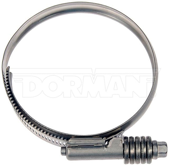 55246 Intercooler Hose Clamp Dorman - HELP Canada