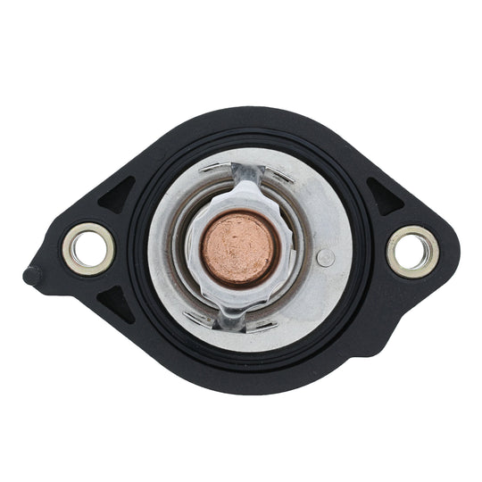 5942KT Thermostat Kit 195 Degrees with Seal BFNG