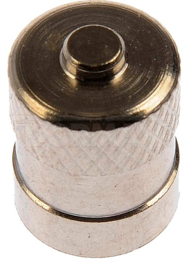 609-131 Pack Of 50 TMPS Caps Dorman - OE Solutions Canada