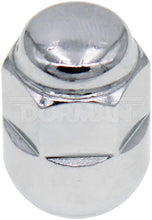 Load image into Gallery viewer, 611-244 Wheel Lug Nut Dorman - Autograde Canada