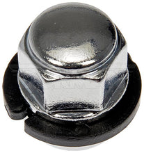 Load image into Gallery viewer, 611-937.1 Wheel Lug Nut Dorman - Autograde Canada