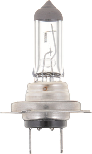 H7B2 Philips Standard Headlight H7 - Standard - Twin Blister Pack Philips Bulbs