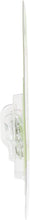Load image into Gallery viewer, 24LLB2 Philips LongerLife Miniature 24LL - LongerLife - Twin Blister Pack Philips Bulbs