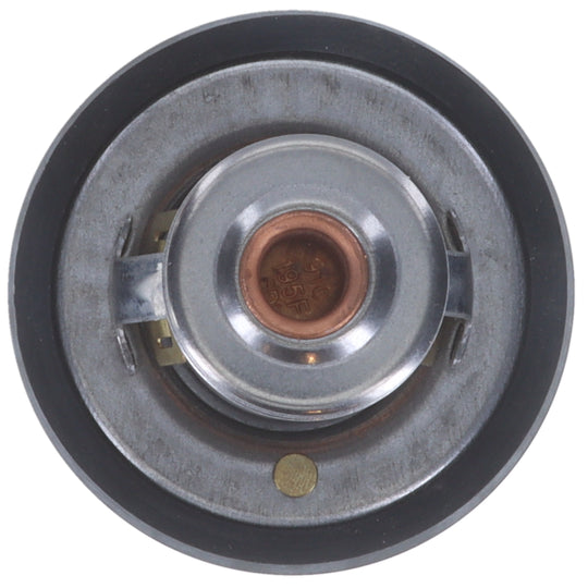 7265-195 Fail Safe Thermostat 195 Degrees Motorad