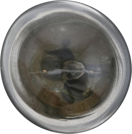 81CP Philips Standard Miniature 81 - Standard - Multiple Commercial 10-Pack Philips Bulbs