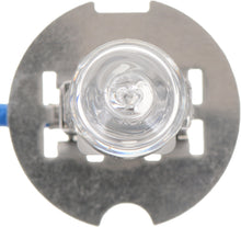 Load image into Gallery viewer, H3C1 Philips Standard Headlight H3 - Standard - Single Commercial Pack Philips Bulbs
