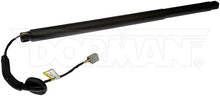 Load image into Gallery viewer, 747-041 Liftgate Cylinder Dorman - OE Solutions Canada