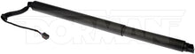Charger l'image dans la galerie, 747-054 Liftgate Cylinder Dorman - OE Solutions Canada