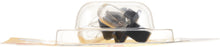 Load image into Gallery viewer, PC161B2 Philips Standard Minature PC161 - Standard - Twin Blister Pack Philips Bulbs