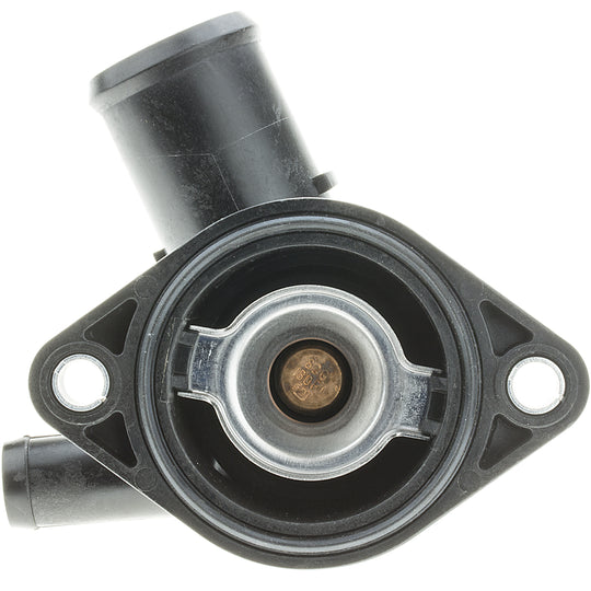 756-180 Integrated Housing Thermostat 180 Degrees with Seal BFNG