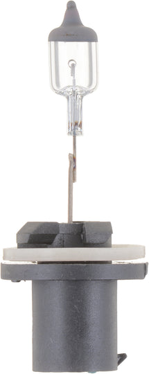 893B1 Philips Standard Fog Light 893 - Standard - Single Blister Pack Philips Bulbs