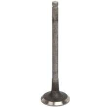 Load image into Gallery viewer, 769001 Engine Exhaust Valve TRW Engine Components Canada