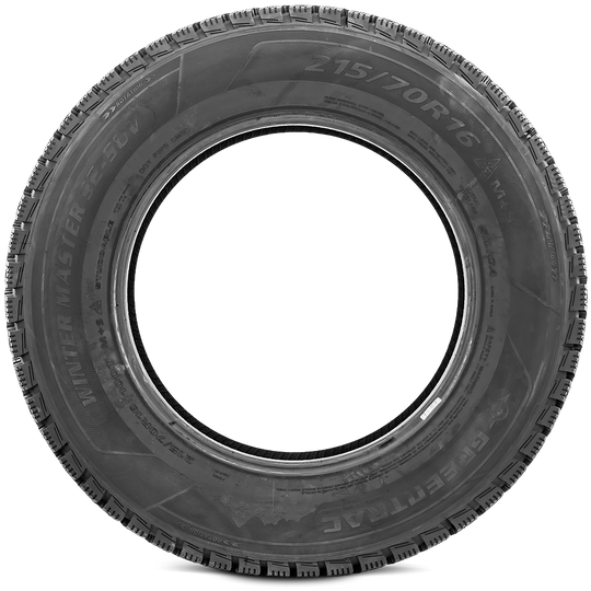6959613734885 255/70R18 Greentrac Winter Master S2 SUV 113H Greentrac Tires Canada