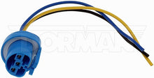 Load image into Gallery viewer, 645-997 Headlight Socket Dorman - TECHoice Canada