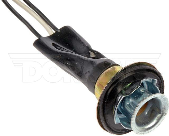 85833 Parking Light Bulb Socket Dorman - Conduct-Tite Canada