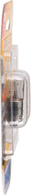 Load image into Gallery viewer, 1816B2 Philips Standard Minature 1816 - Standard - Twin Blister Pack Philips Bulbs