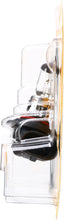 Load image into Gallery viewer, 9045B1 Philips Standard Headlight 9045 - Standard - Single Blister Pack Philips Bulbs