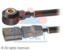Load image into Gallery viewer, 9.3096 Ignition Knock (Detonation) Sensor Facet Canada