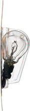 Load image into Gallery viewer, 3157B2 Philips Standard Miniature 3157 - Standard - Twin Blister Pack Philips Bulbs