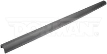 Load image into Gallery viewer, 925-612 Tailgate Molding Dorman - OE Solutions Canada
