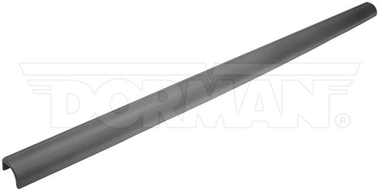925-612 Tailgate Molding Dorman - OE Solutions Canada
