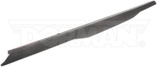 Charger l'image dans la galerie, 925-623 Tailgate Molding Dorman - OE Solutions Canada