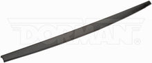 Charger l'image dans la galerie, 925-626 Tailgate Molding Dorman - OE Solutions Canada