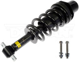 Suspension Strut and Coil Spring Assembly