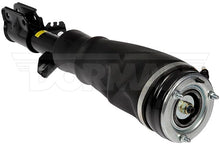 Load image into Gallery viewer, 949-858 Air Suspension Strut Dorman - OE Solutions Canada