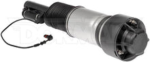 Load image into Gallery viewer, 949-860 Air Suspension Strut Dorman - OE Solutions Canada