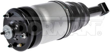 Load image into Gallery viewer, 949-889 Air Suspension Strut Dorman - OE Solutions Canada