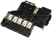 Load image into Gallery viewer, 956-132 Battery Fuse Dorman - OE Solutions Canada